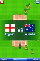 Big Cup Cricket Free screenshot 1