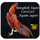 Bangkok Super Bobotoh World Poulet icône
