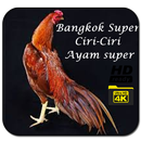 Ayam Bangkok super Bobotoh Dunia APK