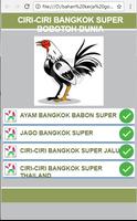 Ayam Bangkok super Bobotoh Dunia poster
