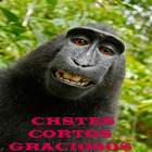 Chistes Cortos Graciosos أيقونة