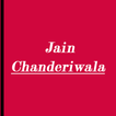 Jain Chanderiwala Sarees