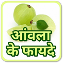 Benefits of Amla - अमला के फायदे व नुकसान APK