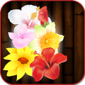 Flower Jungle