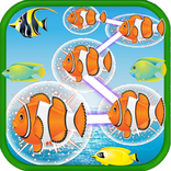 ”Match Fish Link