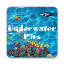 Underwater Pics: Water picture Effects APK