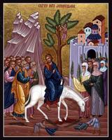 Hosanna Affiche
