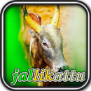 jallikattu wallpapers APK