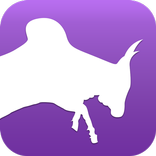 We Do Jallikattu