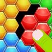 Hexa Forge - Puzzle Block Hexagon