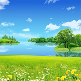 Nature Backgrounds icon