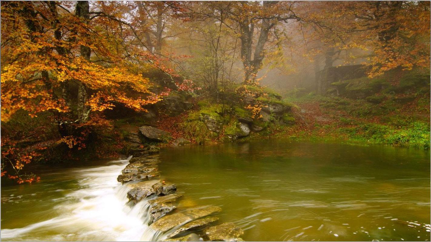 Stunning Nature Wallpapers for Android APK Download