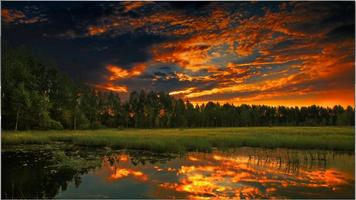 Superbe écran Nature capture d'écran 1