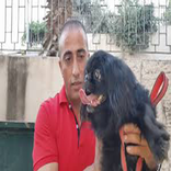 جمال العمواسي عالم الحيوانات والأفاعي