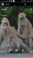 SUARA MONYET تصوير الشاشة 1