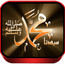 LANTUNAN SHOLAWAT NABI APK