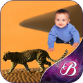 Wild Animal Photo Frames