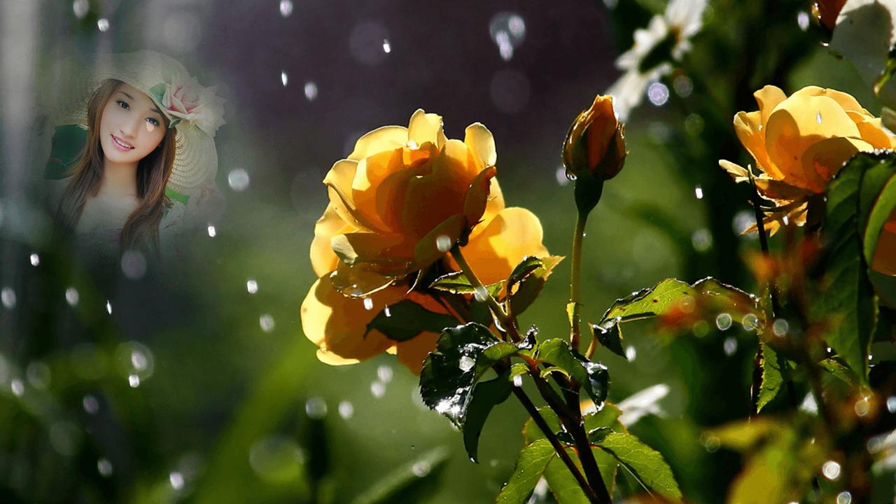 Качающаяся листва. Цветы. Цветы под дождем. Лето дождь цветы. Цветочный дождь.