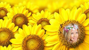 Sunflower Photo Frames Affiche
