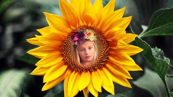 Sunflower Photo Frames capture d'écran 2