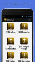 Holy Bible KJV (mp3) ภาพหน้าจอ 2