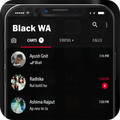 WA Mod Black
