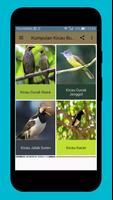 برنامه‌نما Master Kicau Burung Populer Indonesia عکس از صفحه