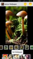 champignons live wallpaper capture d'écran 2