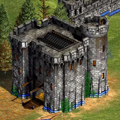 Age of Empires 2 Tips