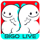 Guide Streaming - BIGO LIVE icon