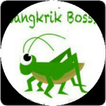 Jangkrik Boss