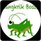 Jangkrik Boss icône
