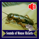 Sounds of Mouse Rickets APK