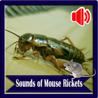 Sounds of Mouse Rickets icône