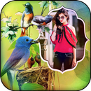 Birds Photo Frame APK