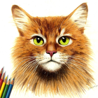 Icona How to Draw a Cat