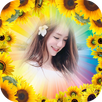 กรอบรูปดอกทานตะวันสวยๆ APK