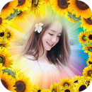 กรอบรูปดอกทานตะวันสวยๆ APK