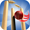 Hit The Wicket APK