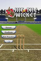 Hit The Wicket Affiche