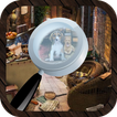 House Hidden Objects