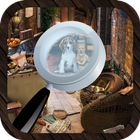 House Hidden Objects-icoon