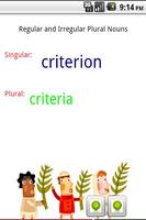 Grammar - Singular Plural Poster