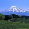 APK Japan Image Gallery