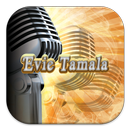 Karaoke Lagu Evie Tamala APK