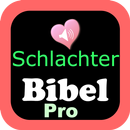 Audio Schlachter Bibel Pro APK