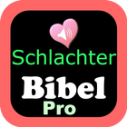 Audio Schlachter Bibel Pro ไอคอน