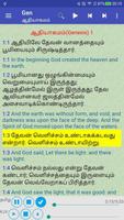 Tamil English Audio Holy Bible poster