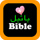Urdu English Bilingual Audio Holy Bible Offline + icône