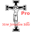 APK NJB Audio Bible Pro